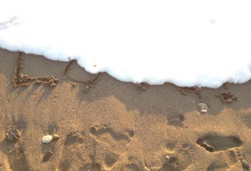 膳宿费 Ambasciata Di Calabria