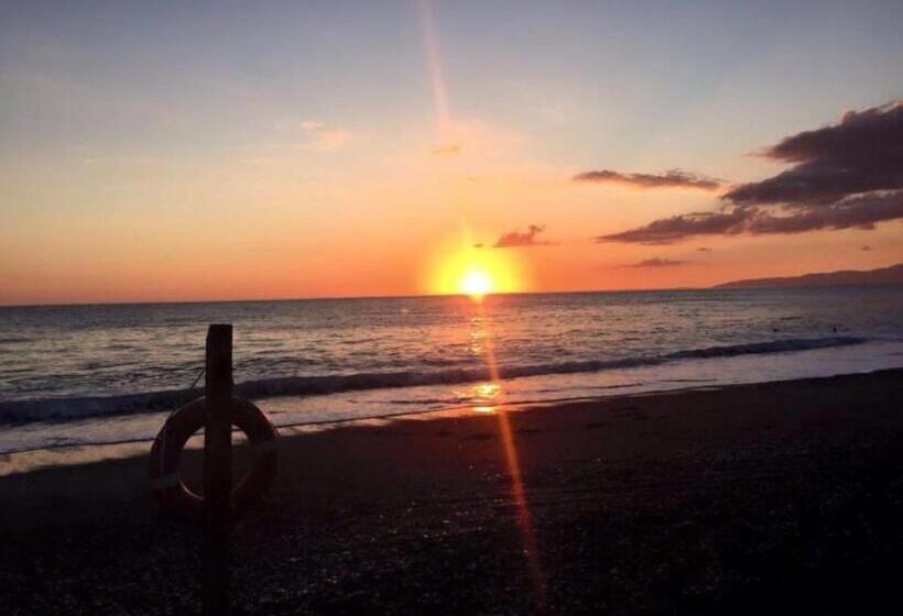 膳宿费 Ambasciata Di Calabria