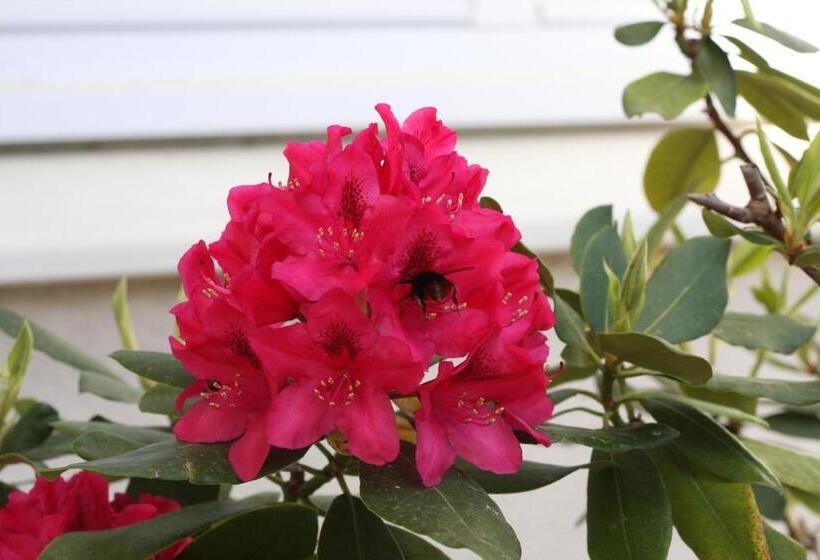 پانسیون Calme Et Nature Bassin D Arcachon