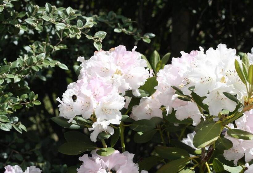 پانسیون Calme Et Nature Bassin D Arcachon