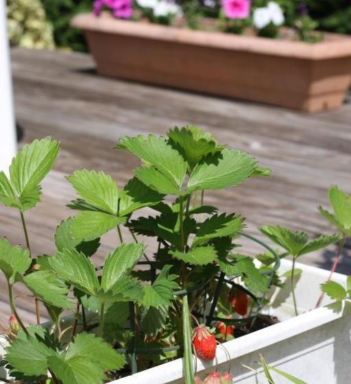 پانسیون Calme Et Nature Bassin D Arcachon