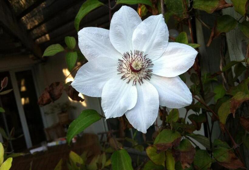 پانسیون Calme Et Nature Bassin D Arcachon