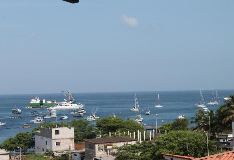 پانسیون Dolphin House