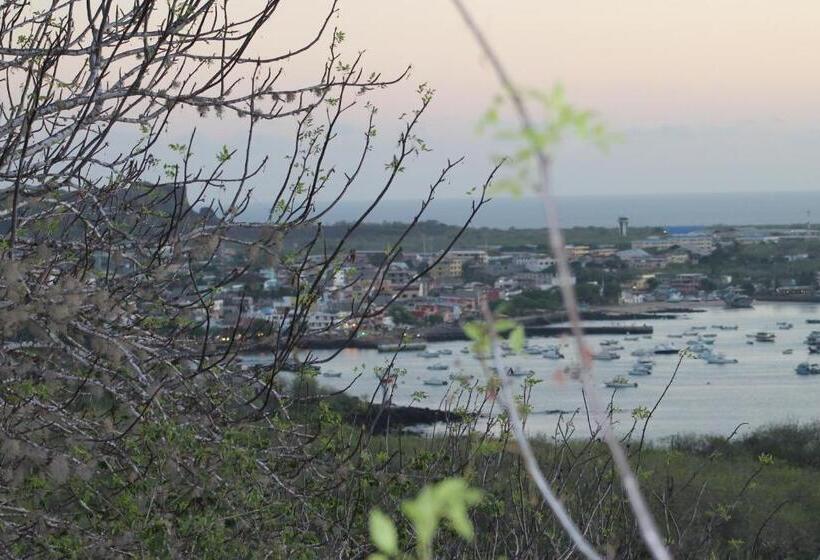 پانسیون Dolphin House