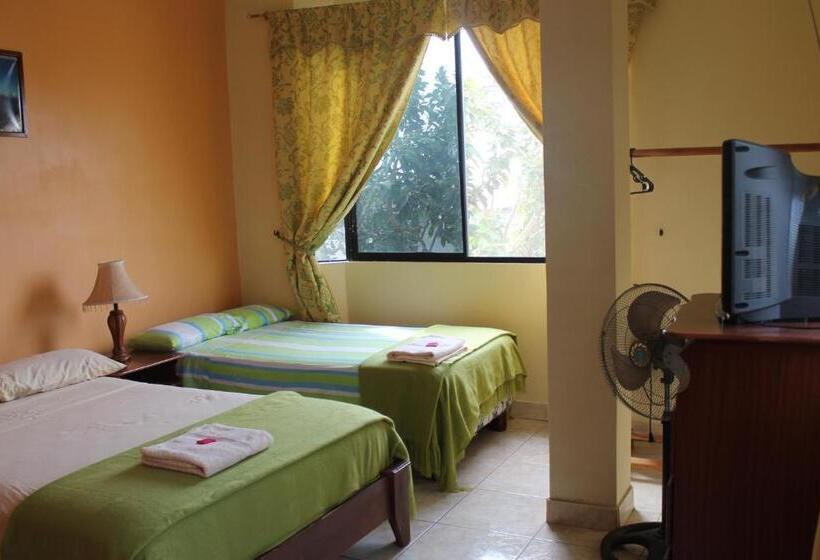 پانسیون Dolphin House