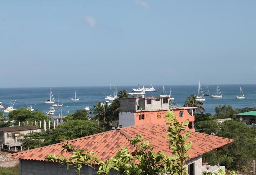 پانسیون Dolphin House