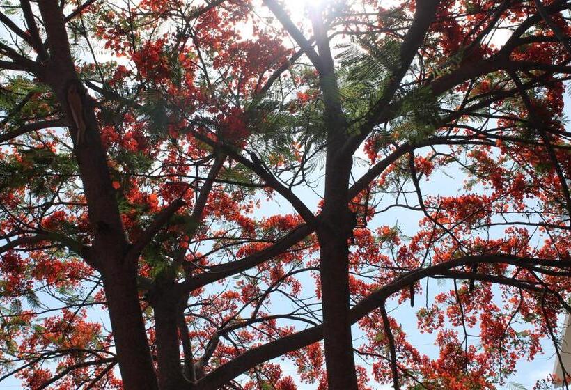 پانسیون Dolphin House