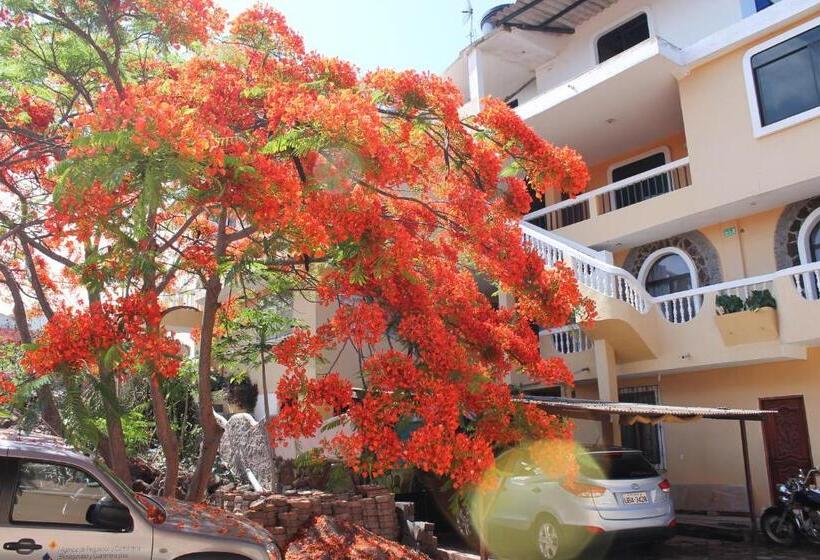 پانسیون Dolphin House