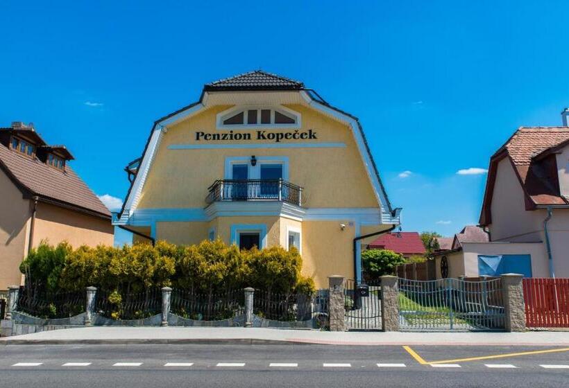 펜션 Guest House Na Kope Ku