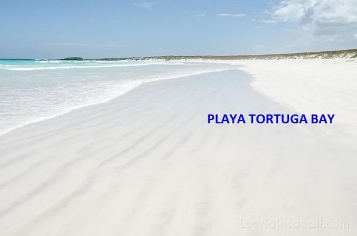 펜션 Hostal Darwin B&b