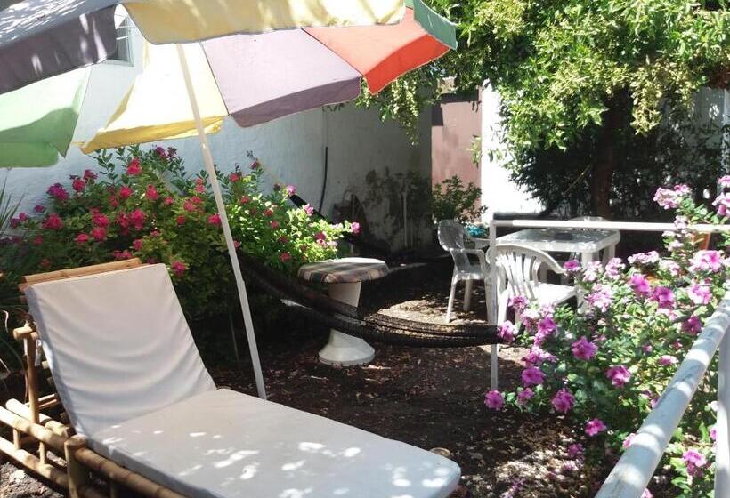 펜션 Hostal Darwin B&b