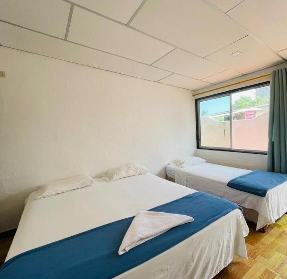 펜션 Hostal Darwin B&b