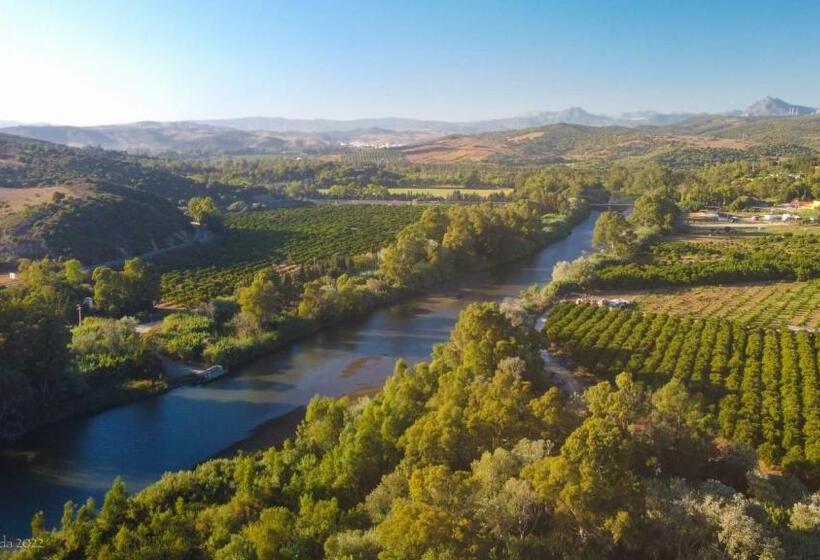 פנסיון Ochomin Hostel