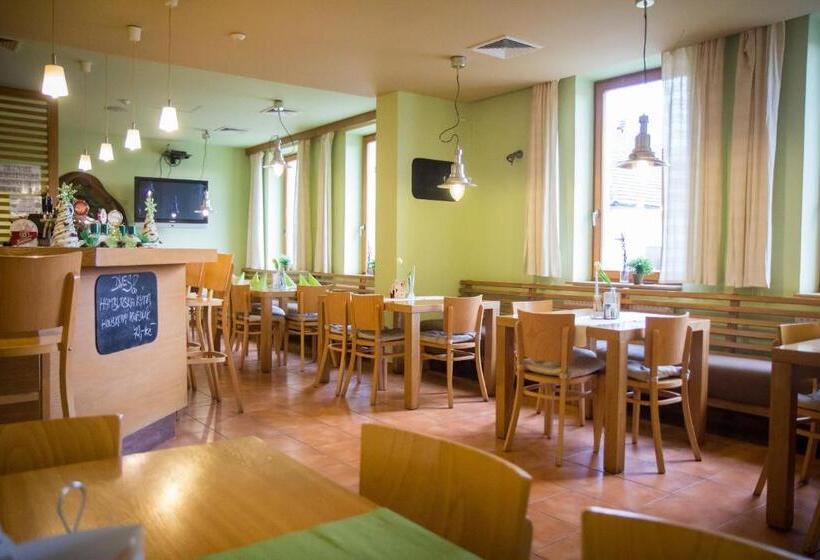 펜션 Penzion U Zámecké Zahrady