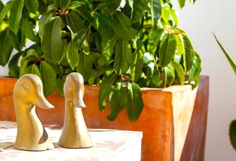 펜션 Vejerísimo Casa Boutique