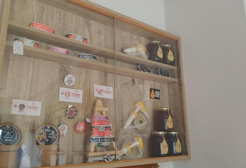 Pension Parrilla Casa Vicente