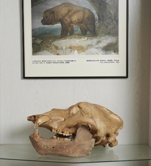 هاستل Guest House And Museum Firšt