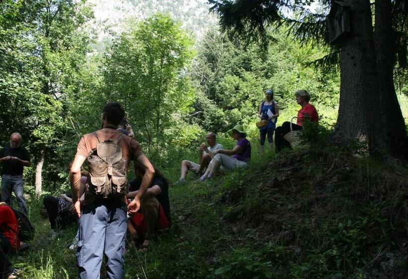 هاستل Guest House And Museum Firšt