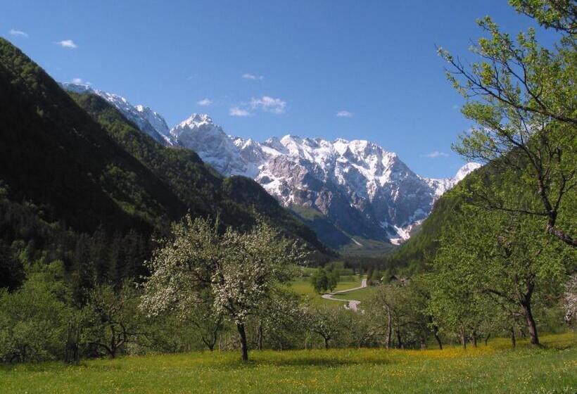 هاستل Guest House And Museum Firšt