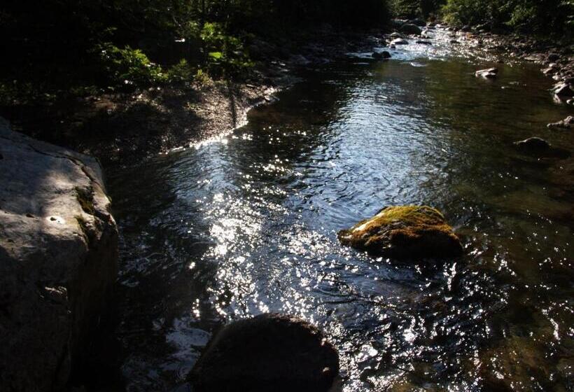 هاستل Guest House And Museum Firšt