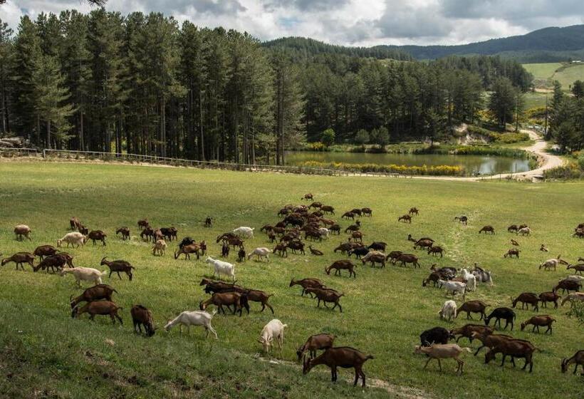 هتل Agriturismo Biosila