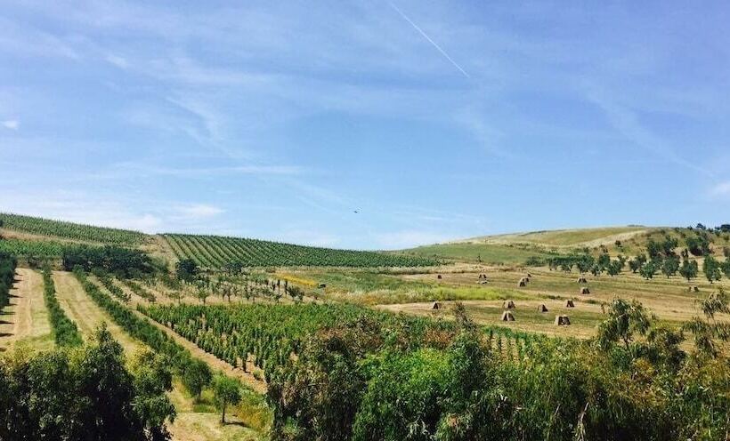 호텔 Cascina Al Colle