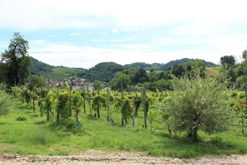 ホテル Agriturismo Mazzeracca