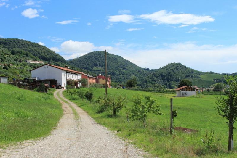 ホテル Agriturismo Mazzeracca
