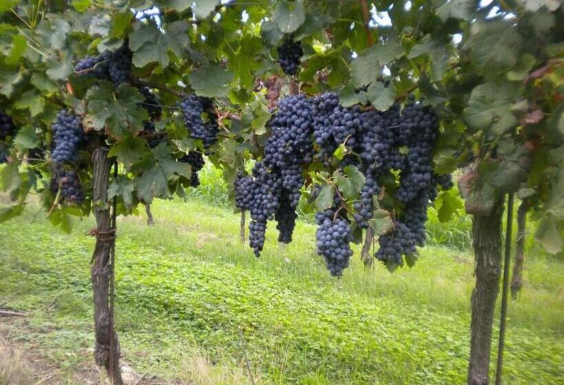 ホテル Agriturismo Mazzeracca