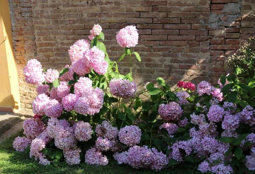 בית מלון כפרי Agriturismo Poggio Al Tesoro