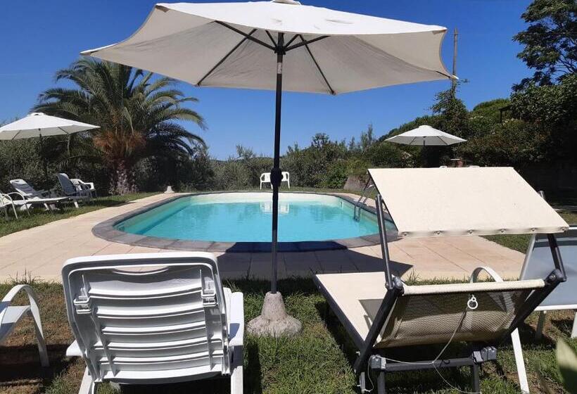 בית מלון כפרי Agriturismo Poggio Al Tesoro