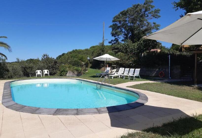 בית מלון כפרי Agriturismo Poggio Al Tesoro