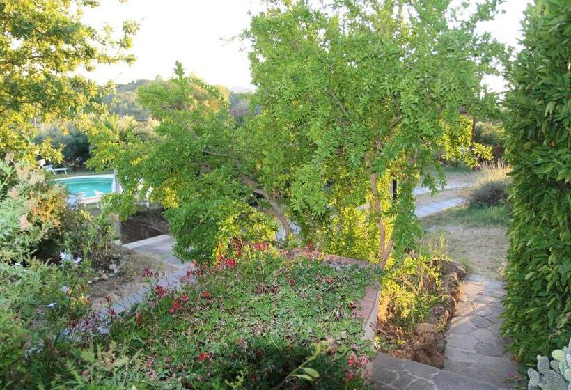 בית מלון כפרי Agriturismo Poggio Al Tesoro