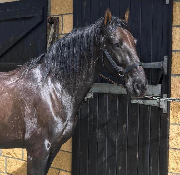 Отель Agroturismo Anziola