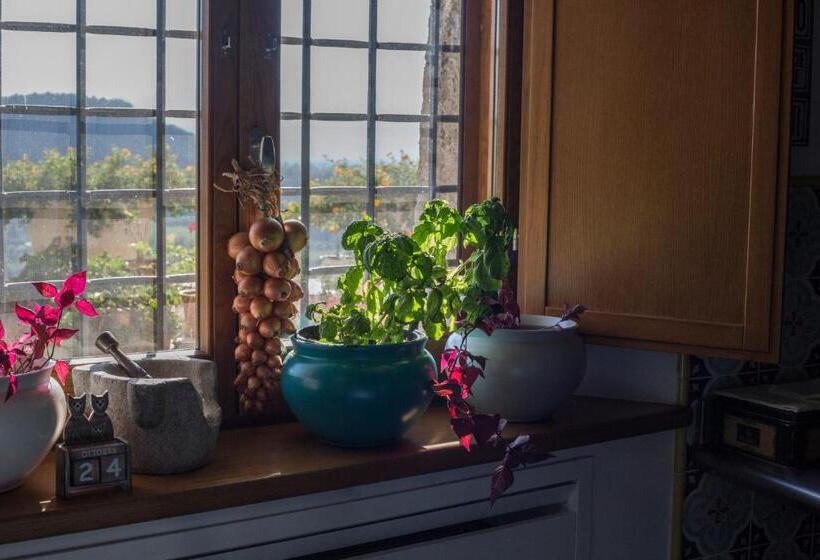 בית מלון כפרי Palazzo Tronconi