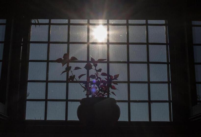 בית מלון כפרי Palazzo Tronconi