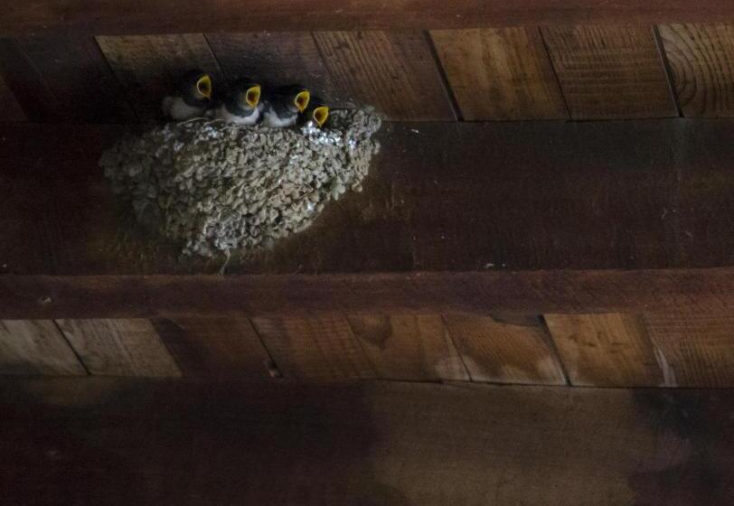 La Trapería Hostal   Pensión Con Encanto