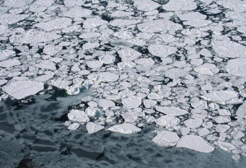 膳宿费 Bon's Home