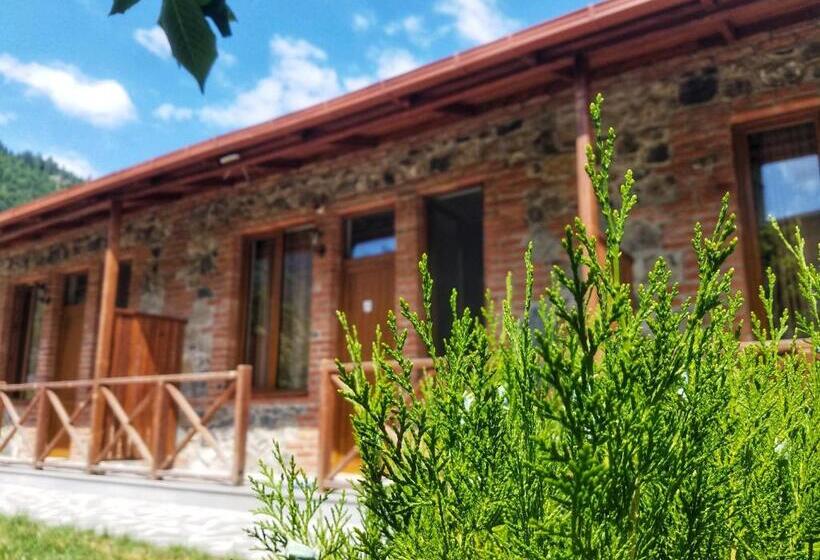 پانسیون Borjomi Cottages