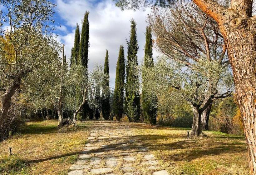 פנסיון Casale Degli Ulivi