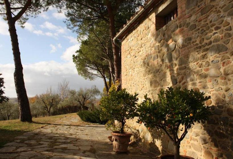 بنسيون Casale Degli Ulivi