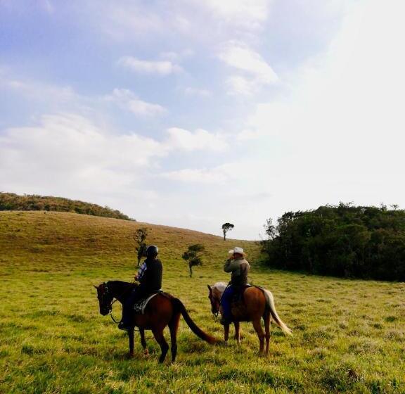 بنسيون Hacienda Sassenberg