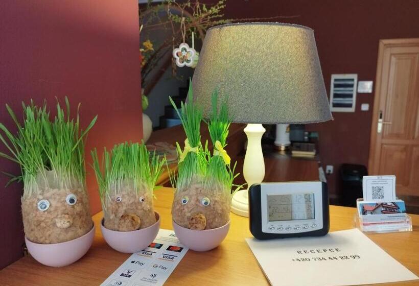 بنسيون Harrachovská Hacienda