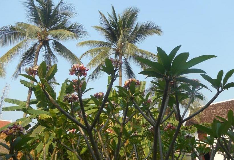 بنسيون Le Bougainvillier