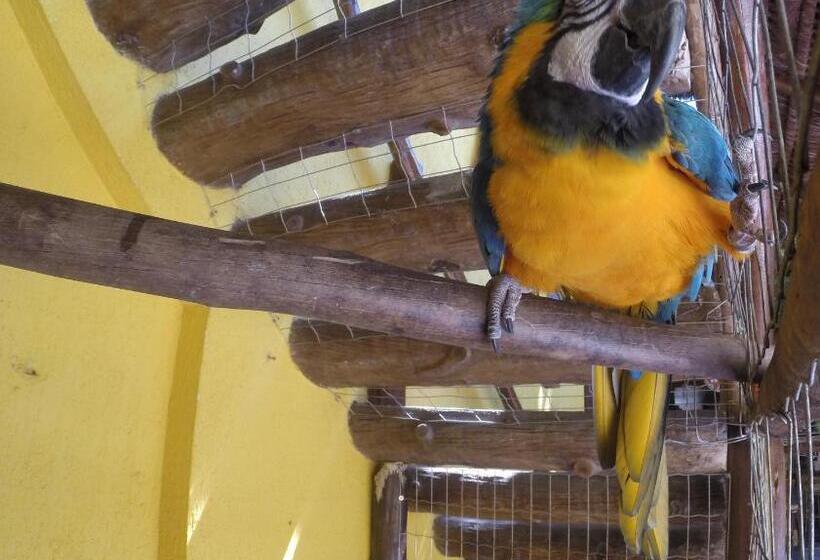 פנסיון Morada Do Aventureiro