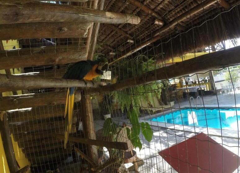 פנסיון Morada Do Aventureiro