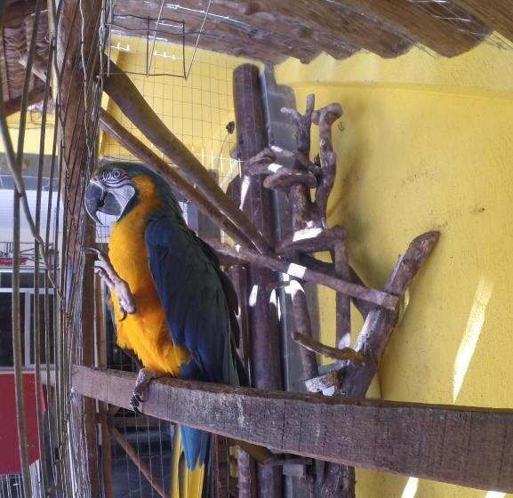 פנסיון Morada Do Aventureiro