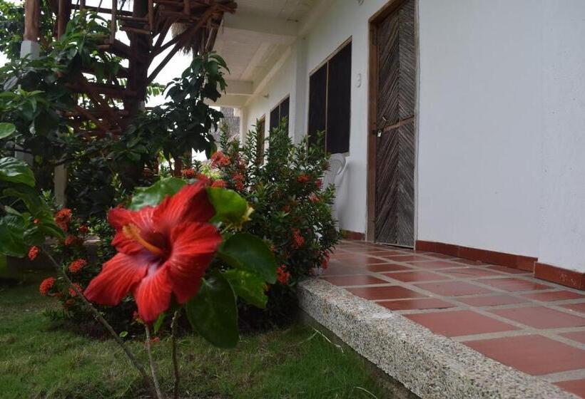 پانسیون Palomino Breeze Hostal