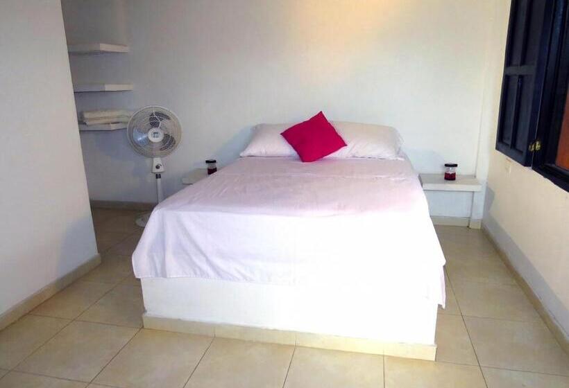 膳宿费 Palomino Breeze Hostal