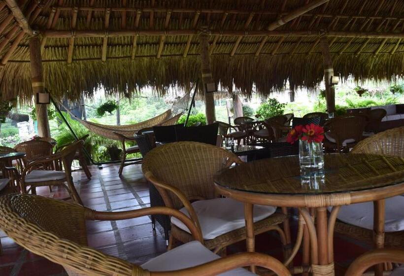 膳宿费 Palomino Breeze Hostal